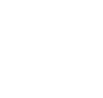 Break the Cycle Foundation